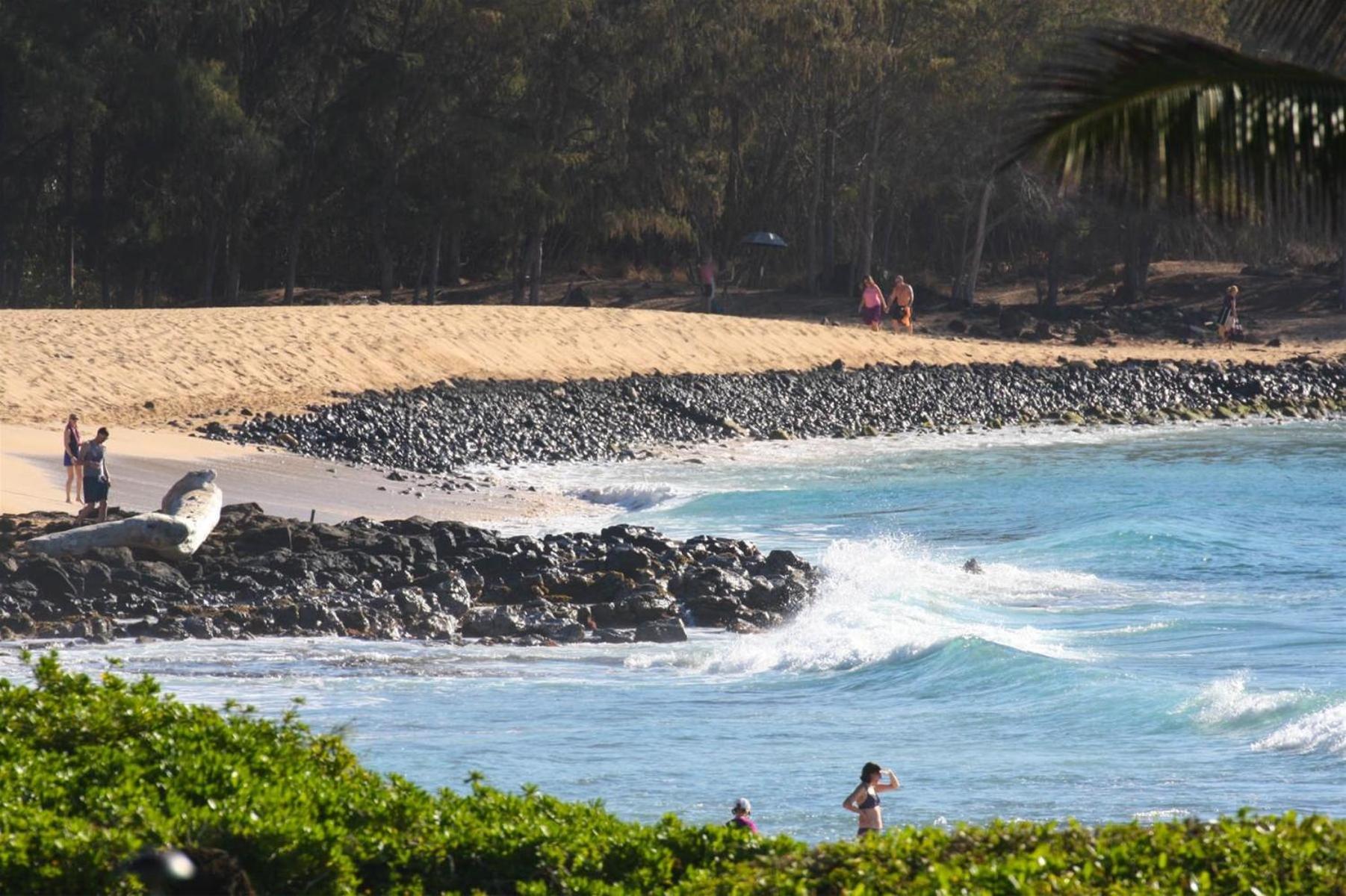 Poipu Sands 513 - Ocean Front Koloa Ngoại thất bức ảnh