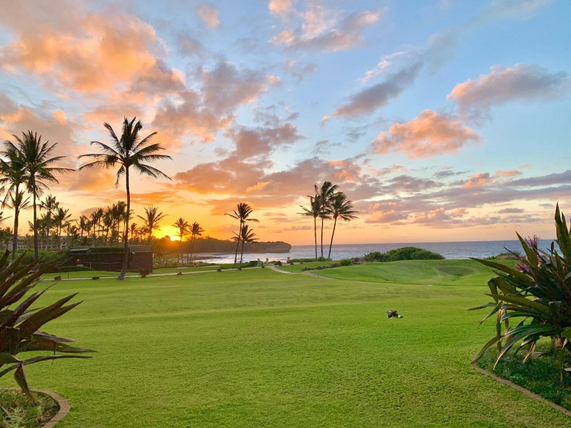 Poipu Sands 513 - Ocean Front Koloa Ngoại thất bức ảnh